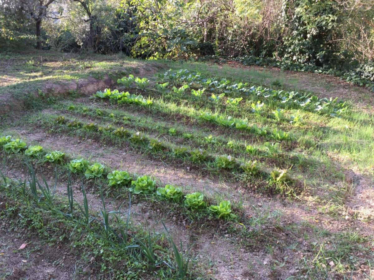 Umbria In Bike B&B Φολίνιο Εξωτερικό φωτογραφία